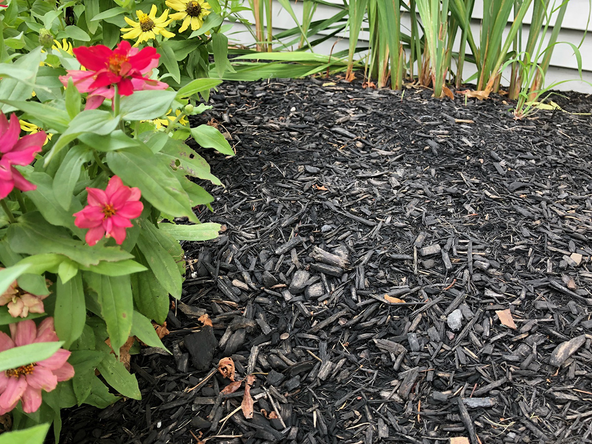 Buffalo mulch, mulching service, fall mulching