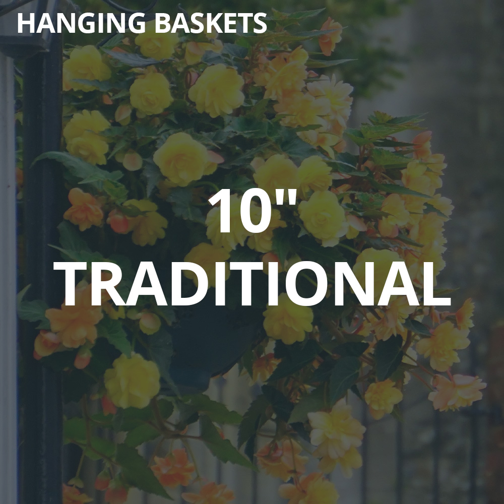 10" Traditional Hanging Baskets