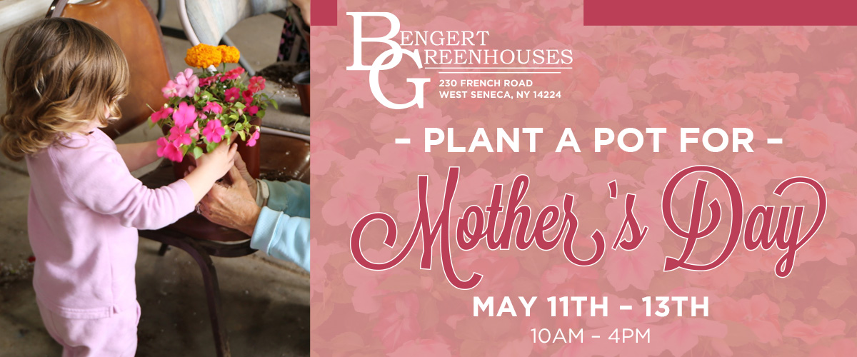 Plant A Pot For Mother's Day 2023!