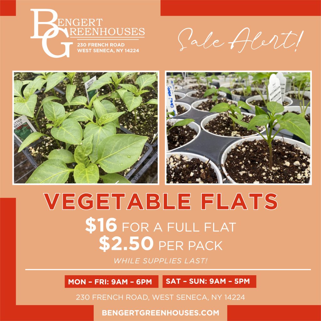 Promotions - Bengert Greenhouses